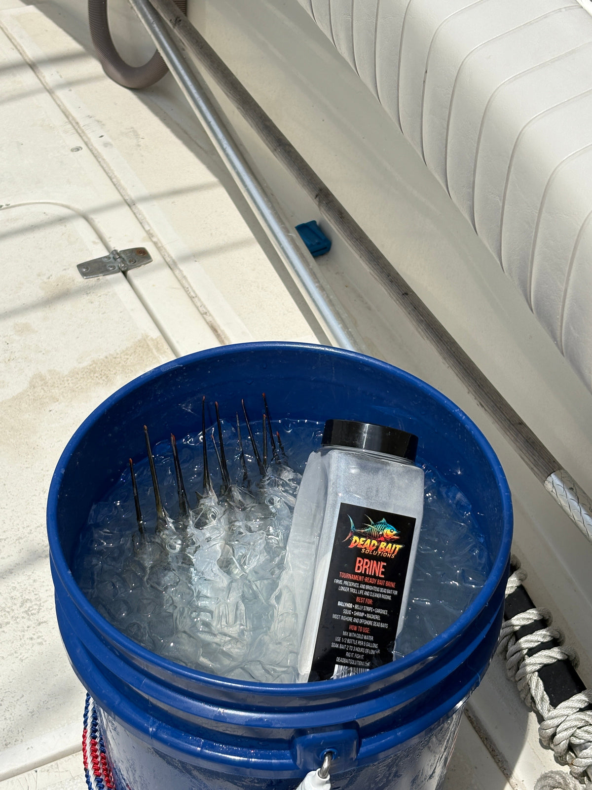Dead Bait Solutions: The Ultimate Tournament-Grade Bait Brine